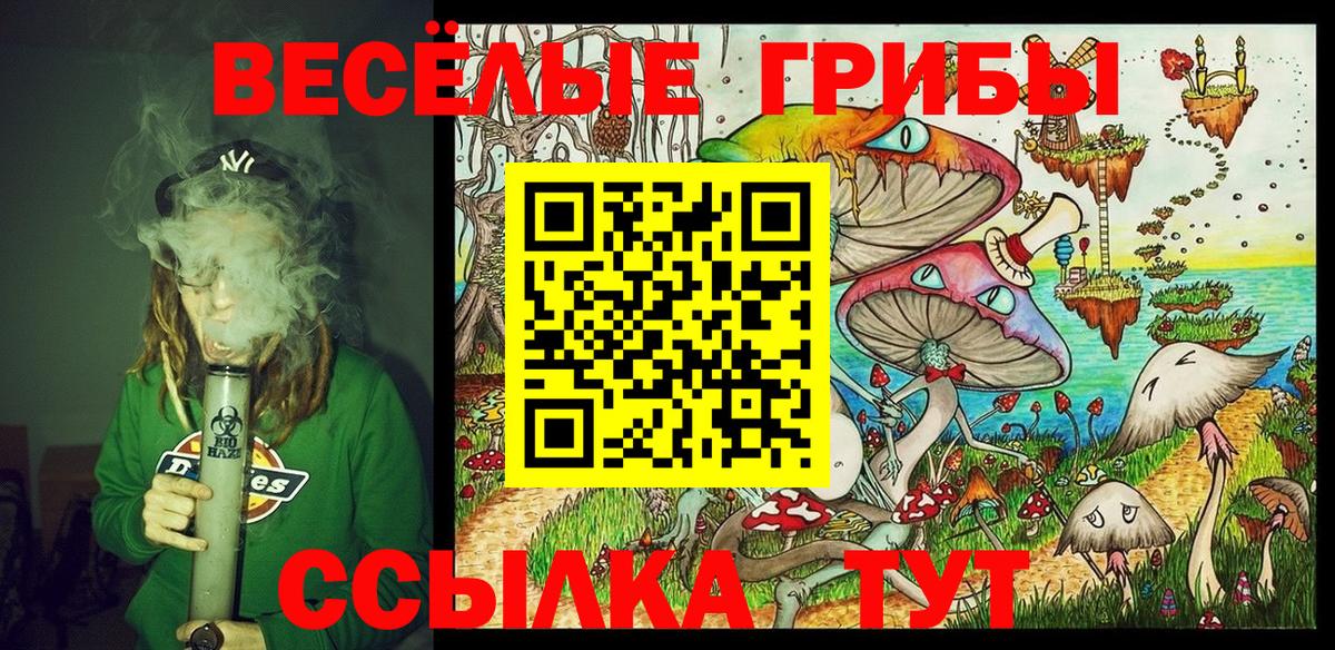 Псилоцибиновые грибы мицелий Новоуральск